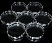 Siete placas de Petri transparentes dispuestas en círculo